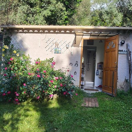 Studio A La Campagne Ucciani Екстериор снимка