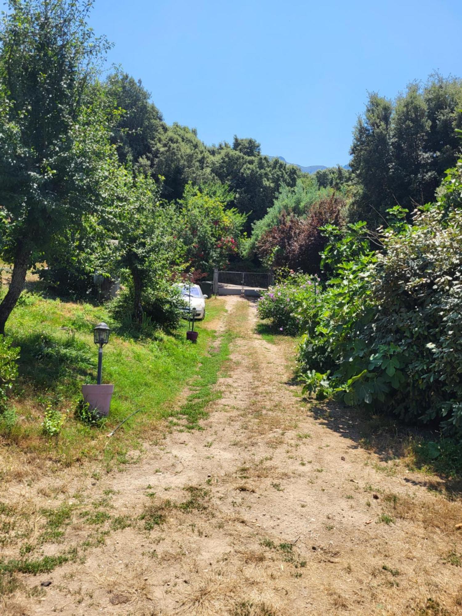 Studio A La Campagne Ucciani Екстериор снимка
